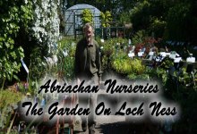 Abriachan Nurseries - Selling Area